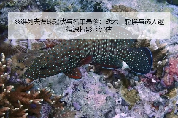 兹维列夫发球起伏与名单悬念：战术、轮换与选人逻辑深析影响评估